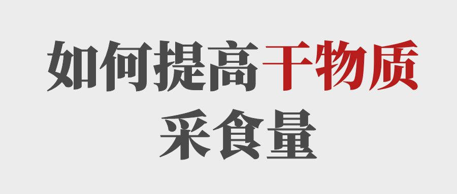 做到這5點提高育肥牛的干物質(zhì)采食量！